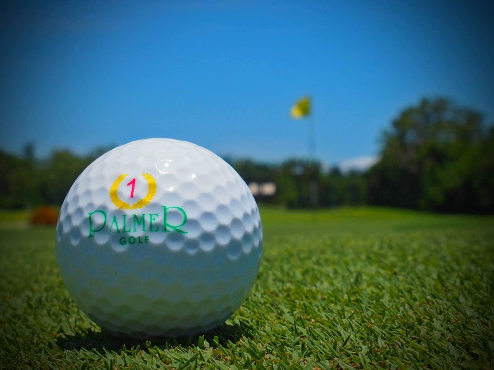palmer golf